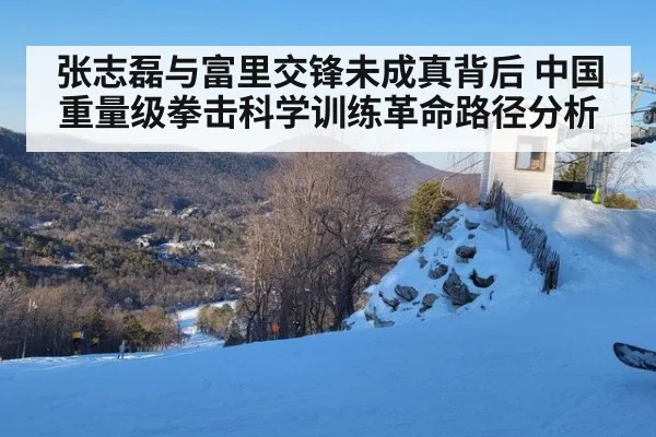 张志磊与富里交锋未成真背后 中国重量级拳击科学训练革命路径分析